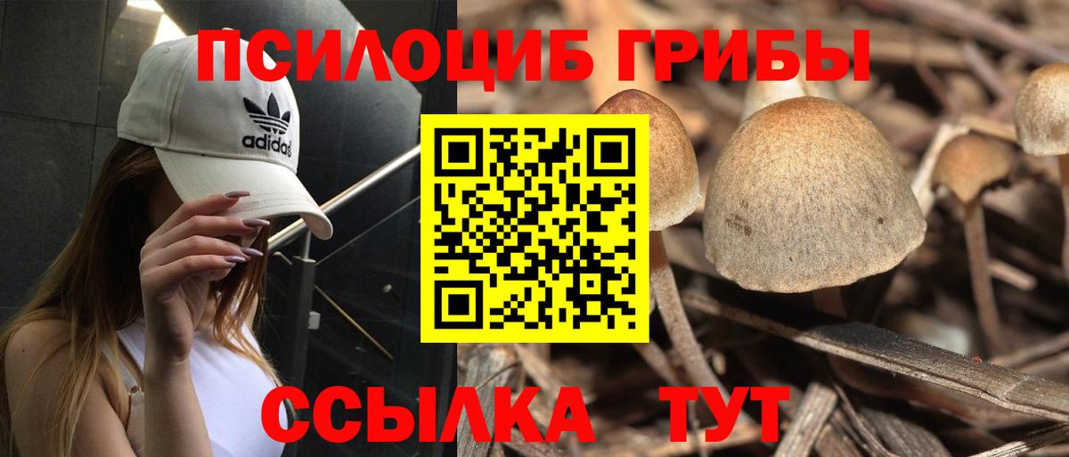 Галлюциногенные грибы Psilocybe  Вход с VPN  Кореновск 